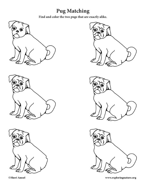 Matching Pugs Activity, which is different