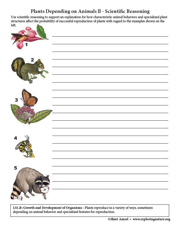 Plants Depending on Animals