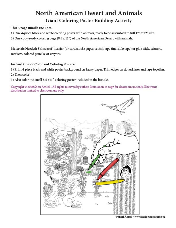 North American Desert - Giant Coloring Poster Building Activity