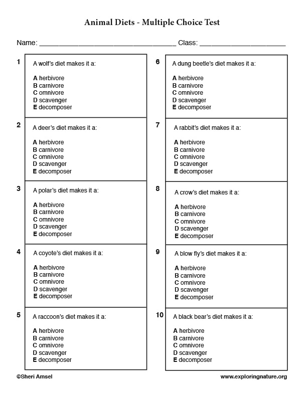 Predator Prey - Multiple Choice Test