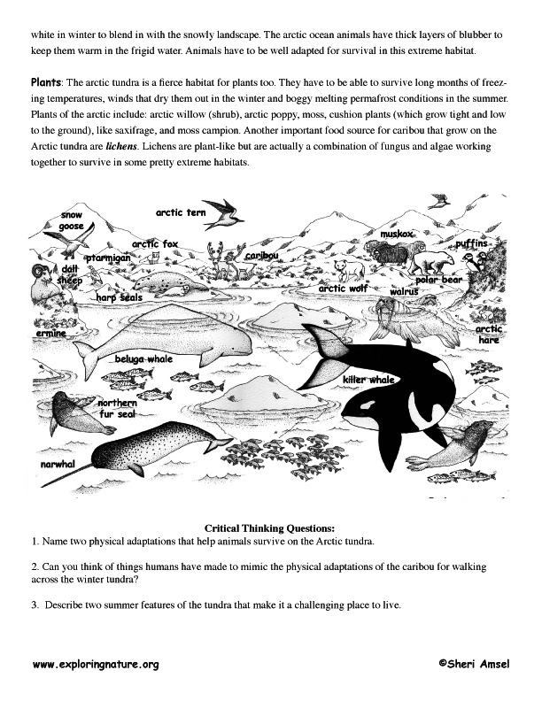 Arctic Read and React Quiz