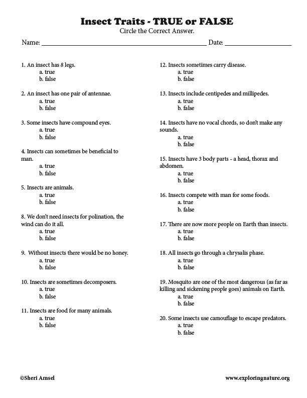 Insect Traits - True - False Quiz