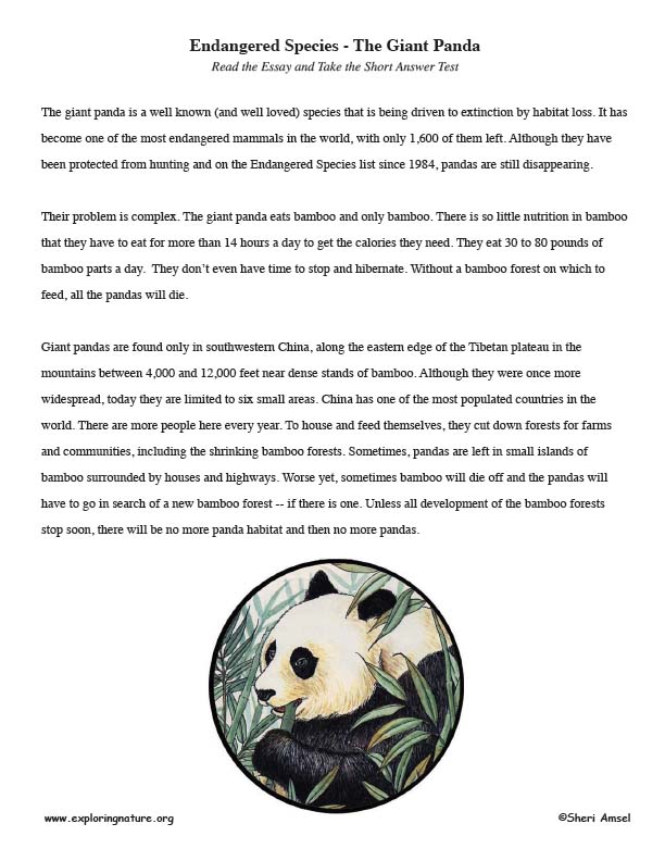 Endangered Species - The Giant Panda  – Read and React 