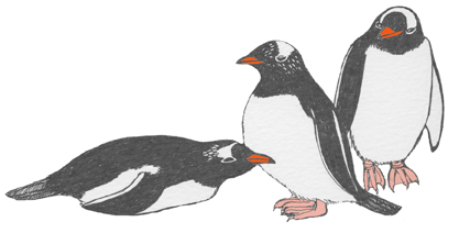 Antarctica - Read and React