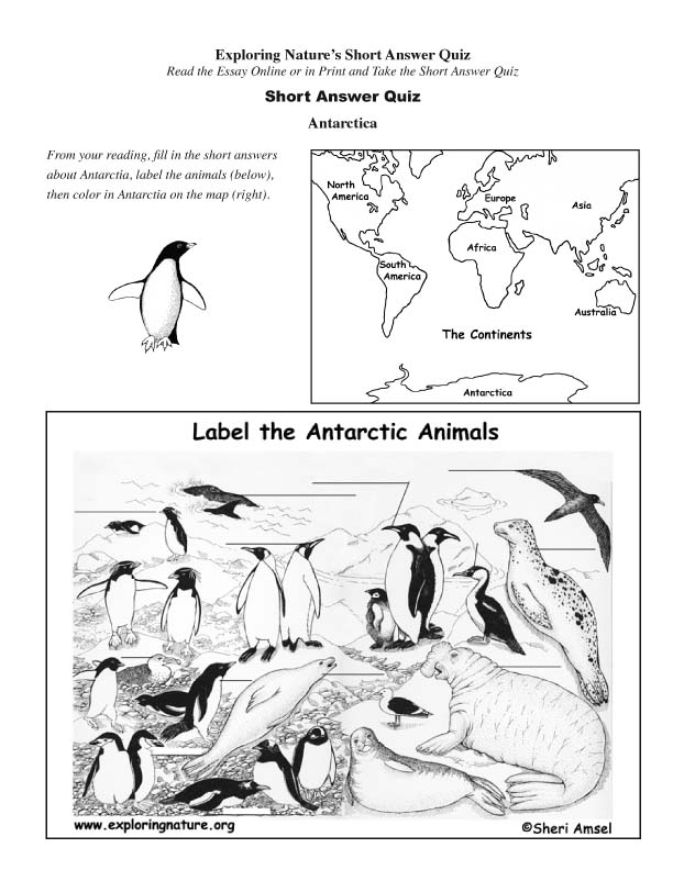 Antarctica - Read and React