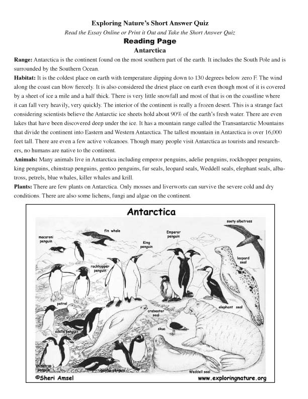 Antarctica - Read and React