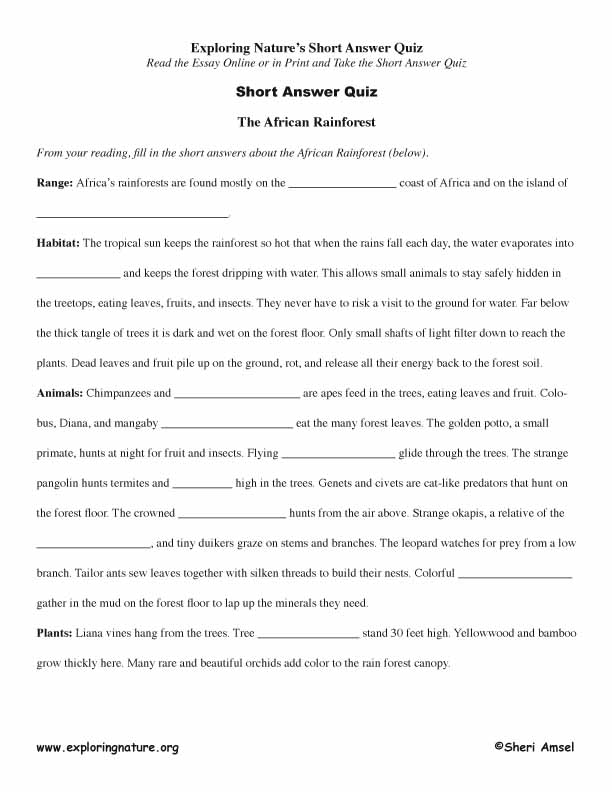 African Rainforest - Read and React Quiz