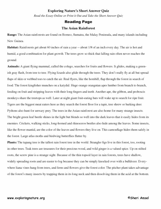 Asian Rainforest - Read and React Quiz