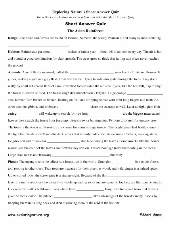 Asian Rainforest - Read and React Quiz