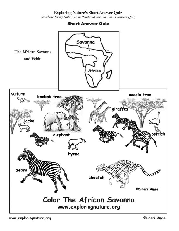 African Savanna - Read and React Quiz