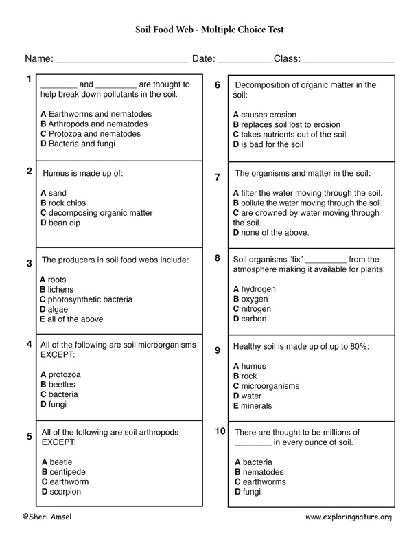 Soil Food Web Multiple Choice Test