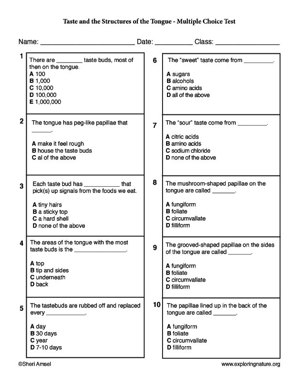 Taste and the Structures of the Tongue - Multiple Choice