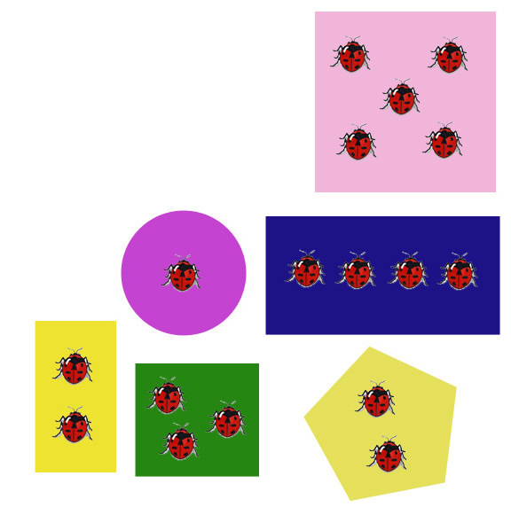 Shapes, Colors and Counting
