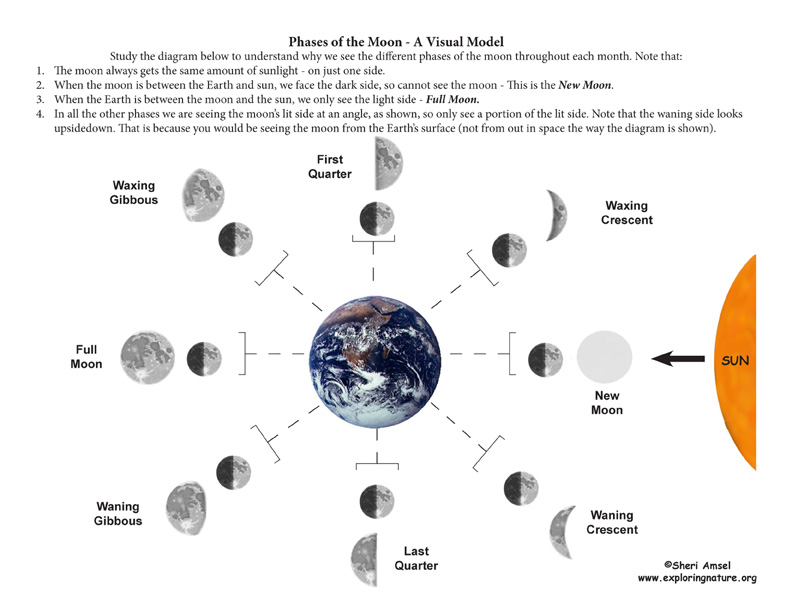 Phases of the Moon – A Demonstrative Inquiry