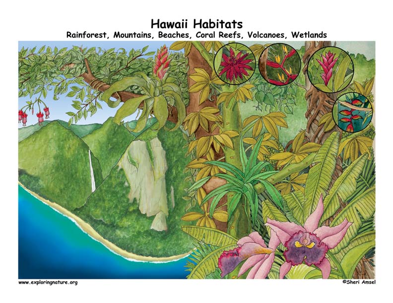 Hawaii
