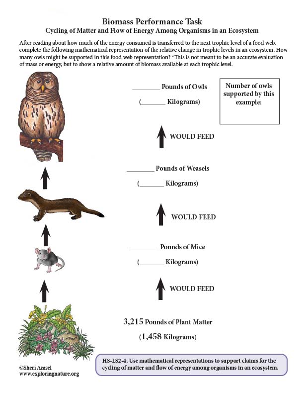 Biomass Performance Task
