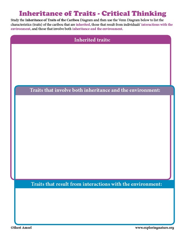 Inheritance of Traits - Critical Thinking Activity