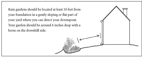 Build a Rain Garden