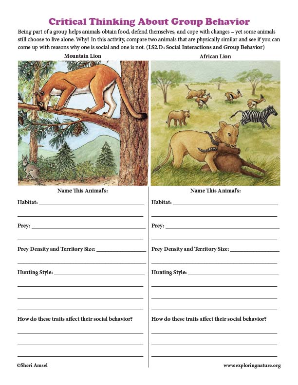 Social Interactions and Group Behavior - Critical Thinking Activity