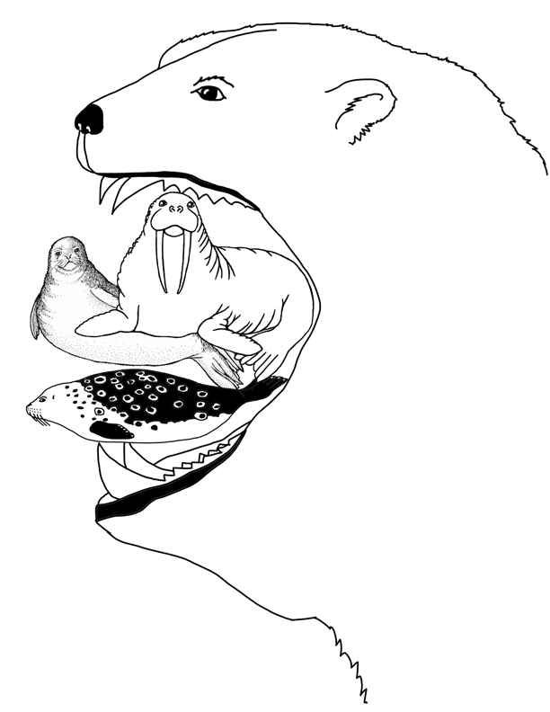 What Do Polar Bears Eat? Foldable Activity