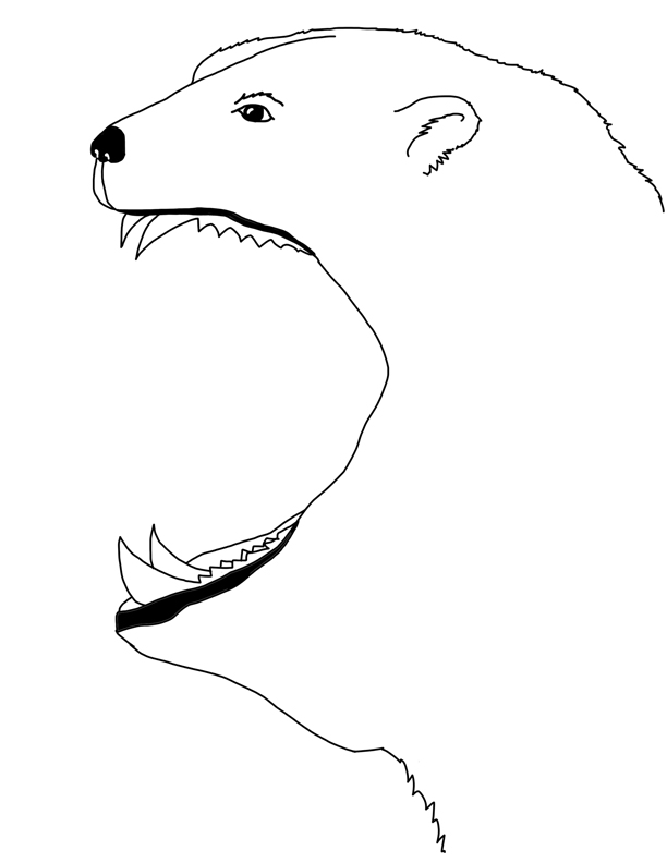 What Do Polar Bears Eat? Foldable Activity