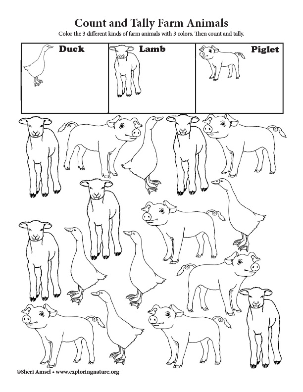 Count and Tally - Farm Animals