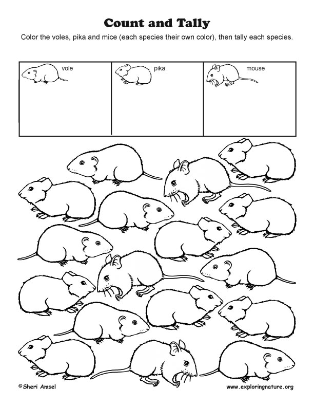 Count and Tally - Voles, Pika & Mice, count and tally rodents