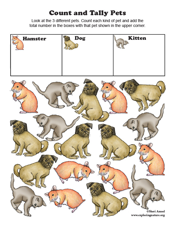 Count and Tally – Pets (Color)