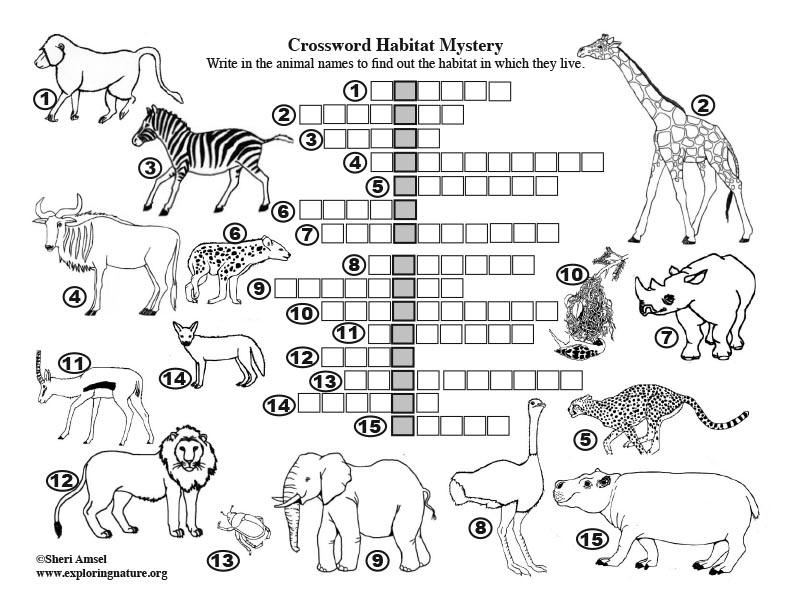 Habitat Mystery Crossword Puzzle (African Savannah)