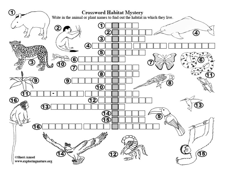Mystery Habitat Crossword Puzzle - Amazon