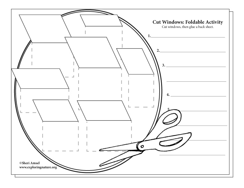 Cell Organelles Cut Windows: Foldable Activity