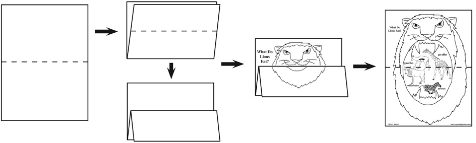 What Do Lions Eat? Foldable Activity