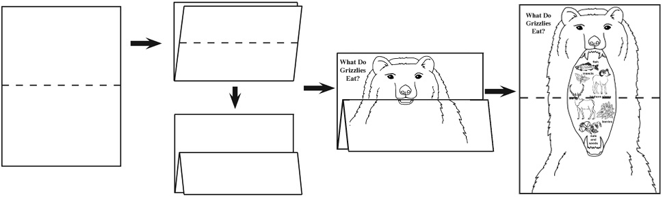 What Do Grizzly Bears Eat? Foldable Activity