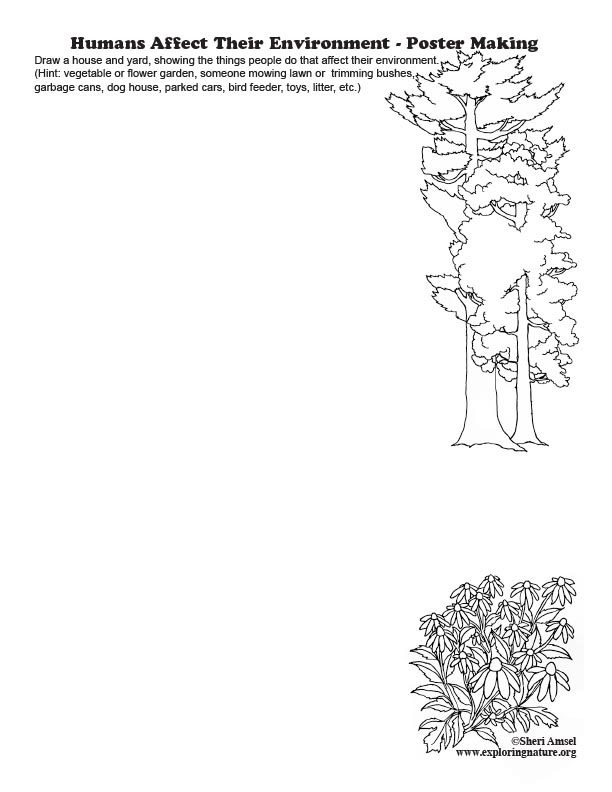 Humans Affect Their Environment - Poster Making Activity