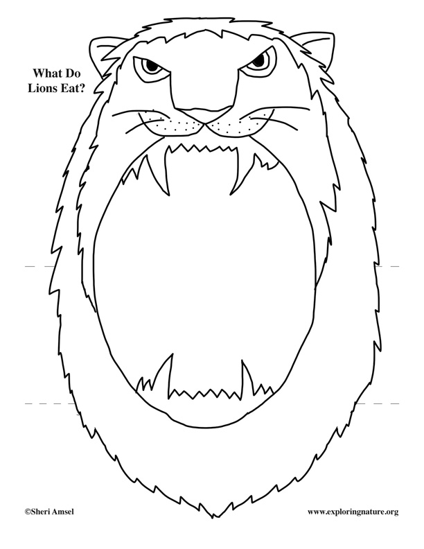 What Do Lions Eat? Foldable Activity