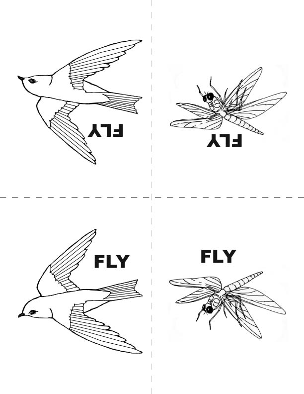 Locomotion Puppet Activity sheets
