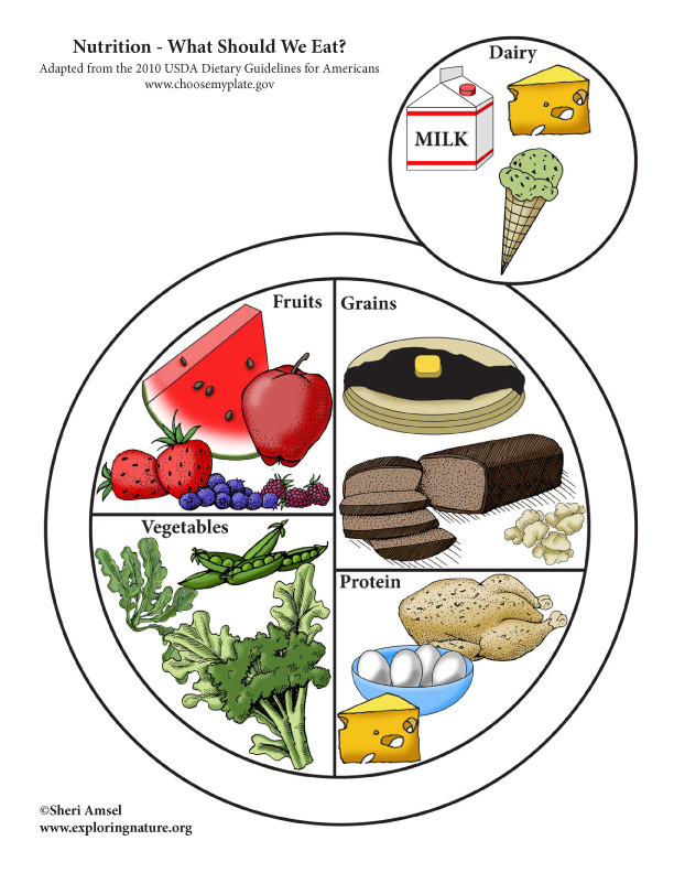 nutrition matching, foods, healthy eating, Nutrition - The Foods We Need To Eat Poster