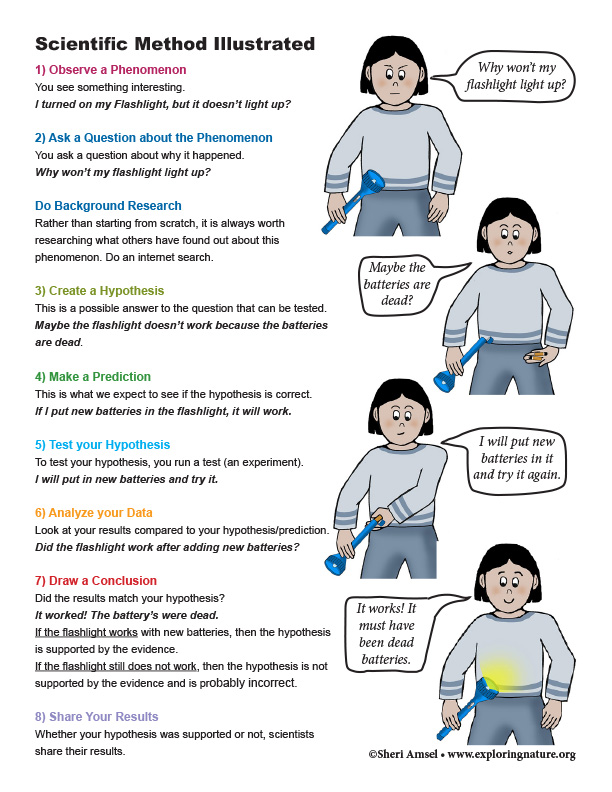 The Scientific Method Illustrated Poster