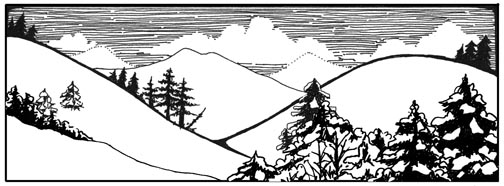 Winter Storms - Snow