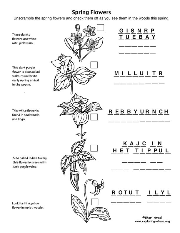 Unscramble the Names of These Common Spring Wildflowers